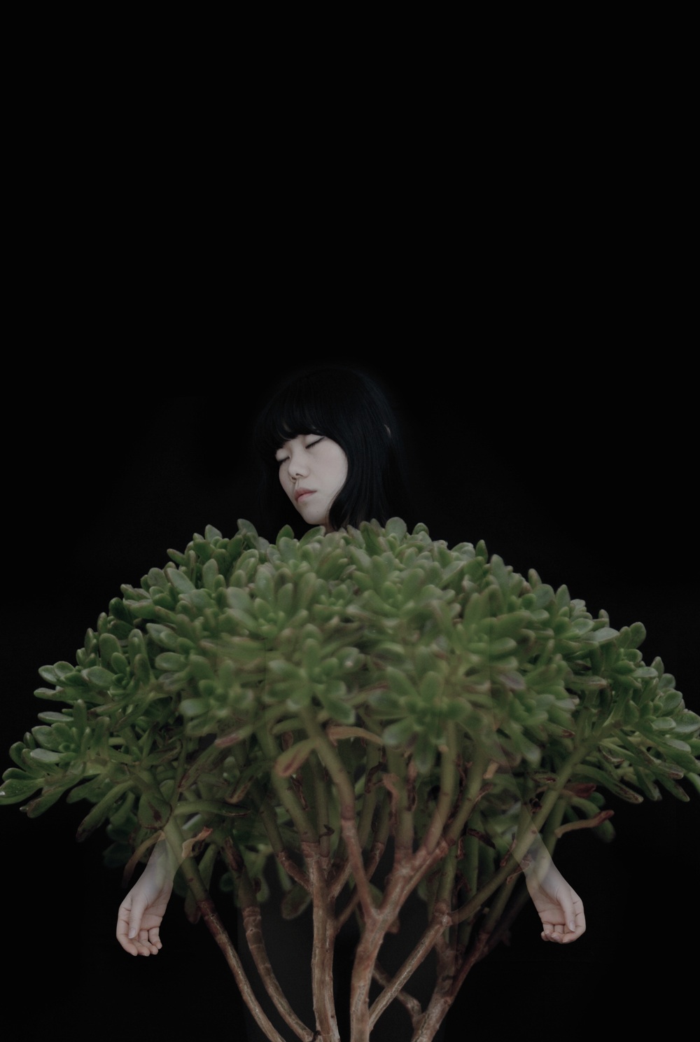 AUTO PORTRAIT 2, 2012, tirage numérique sur diasec, 150 x 100 cm TIMIDITE, 2009, tirage numérique sur diasec, 100 x 100 cm ©Ahn Sun Mi