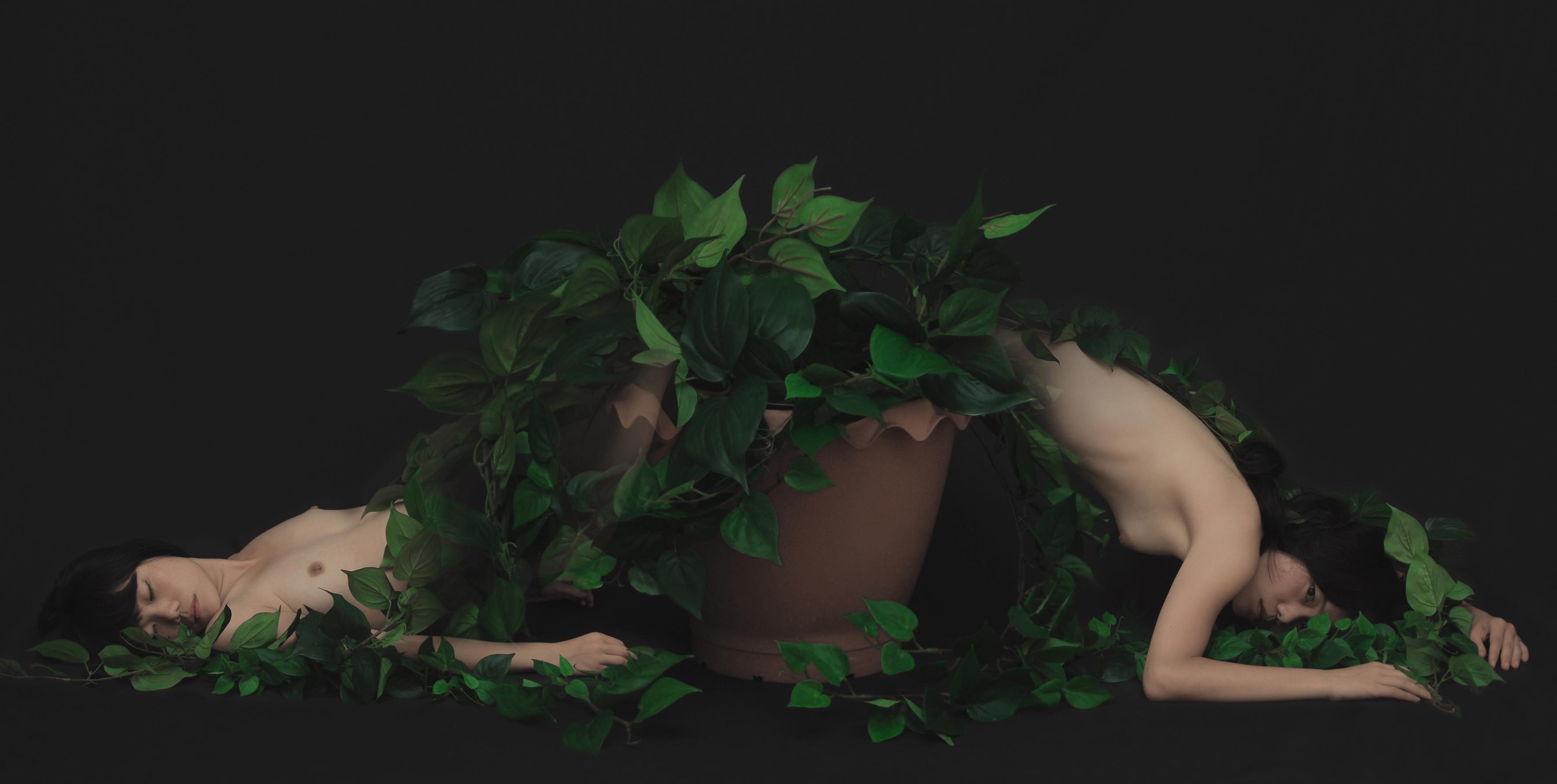 FEMME PLANTE, 2013, tirage numérique sur diasec, 200 x 100 cm ©Ahn Sun Mi