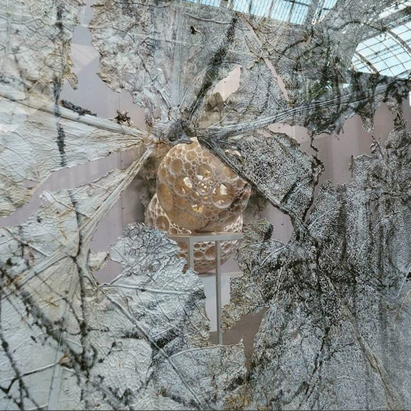 Vue d'exposition © Loo & Lou Gallery