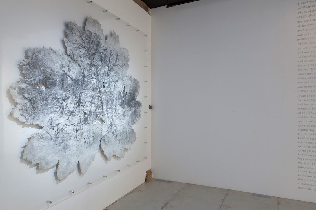 Dominique Lacloche, Sans titre 2, impression gélatino-bromure sur feuille végétale (gunnera manicata), 253 x 220 cm, 2015 © Émilie Mathé Nicolas / Dominique Lacloche