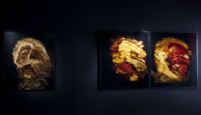 Vue d'exposition Johan Van Mullem, Loo and Lou Gallery George V © Loo & Lou Gallery