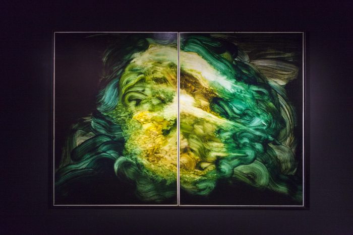 Untitled , Ink on Kappa, 2 x 140 x 100cm, 2015