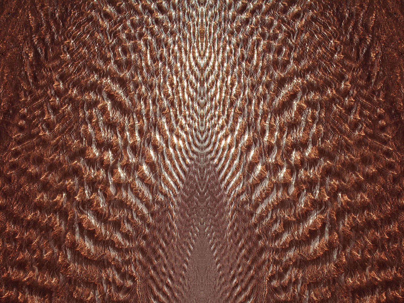 Gold, tirage numérique, 52,2 x 58 cm, 2014 © Olga Ityguilova