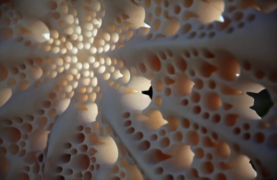 Star 1200, marbre, 64x64x20 cm, 2015, © Matthias Contzen