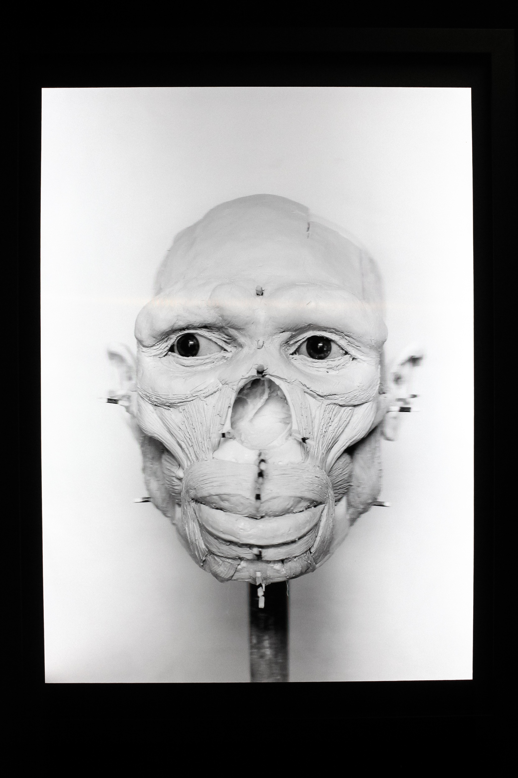 Human IV, 2015, Lenticular array, Alioscopy system, 130 x 95 x 7 cm © Elisabeth Daynès