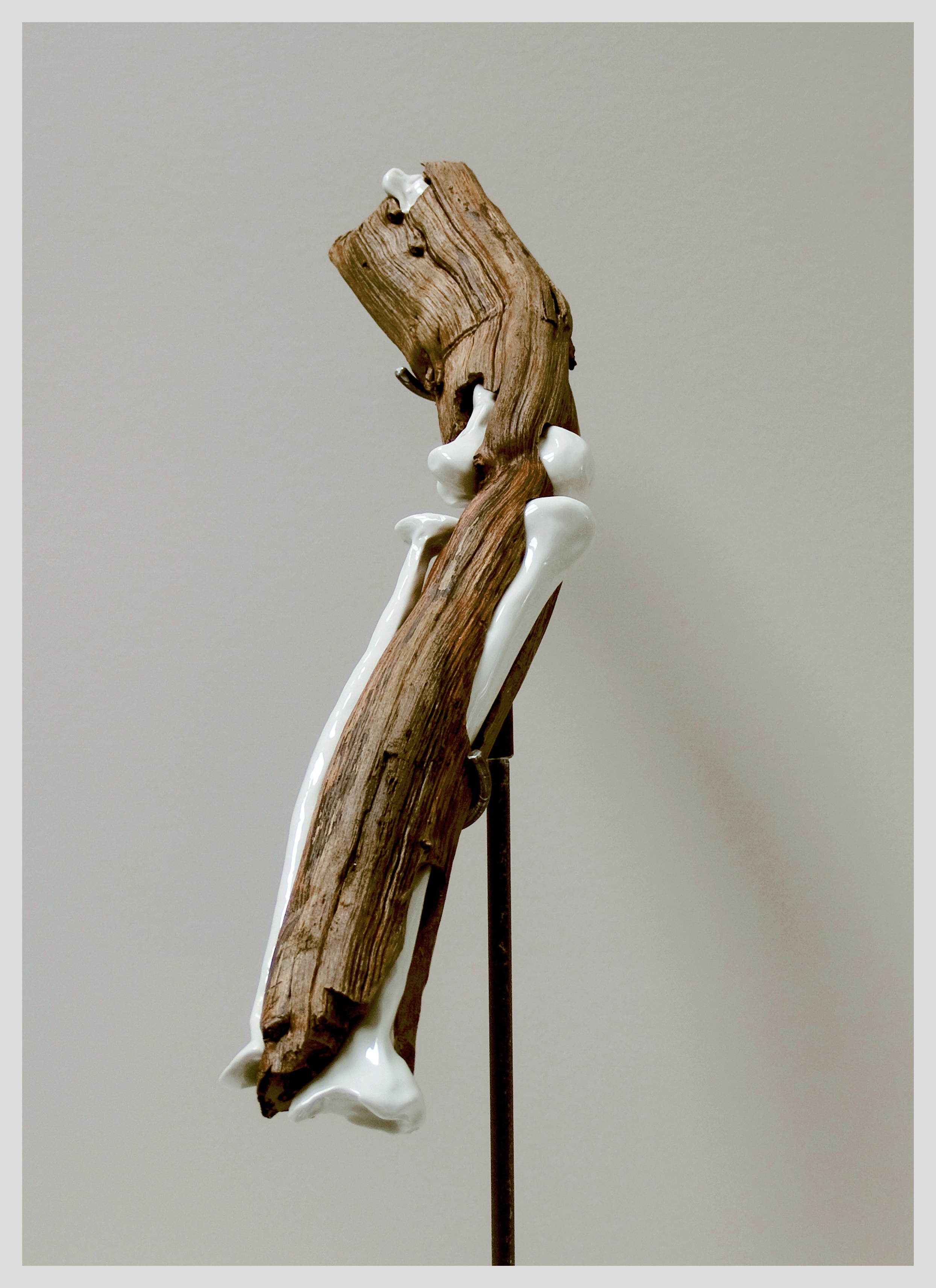 Radius-Cubitus, 2014, Bois et porcelaine, 85 x 60 x 15 cm © Cedric Le Corf