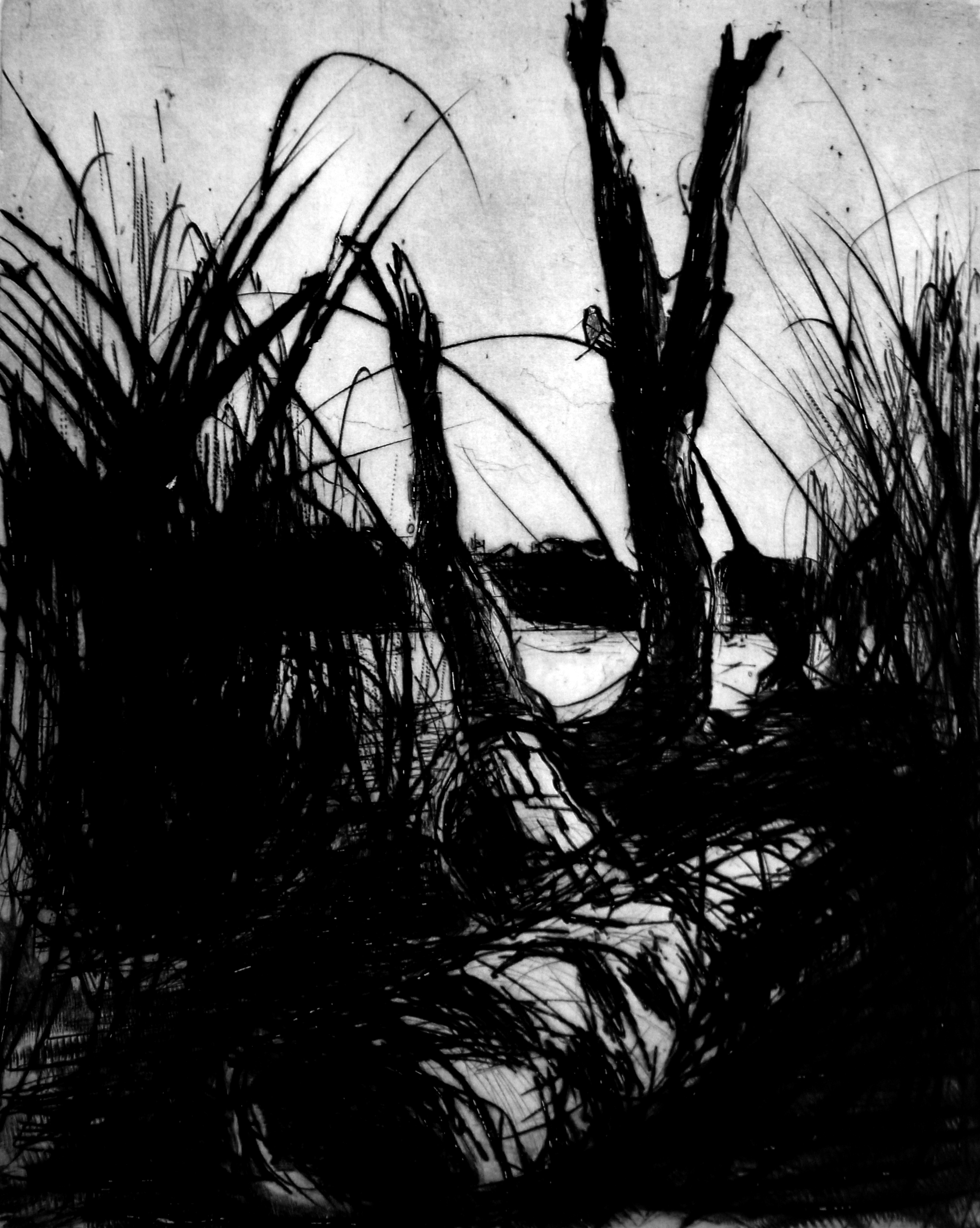 La mare au diable II, 2017, Pointe sèche, 50x40 cm © Cedric Le Corf