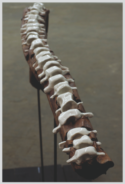 L'ange anatomique, 2013, Bois et porcelaine, 90 x 15 x 160 cm © Cedric Le Corf