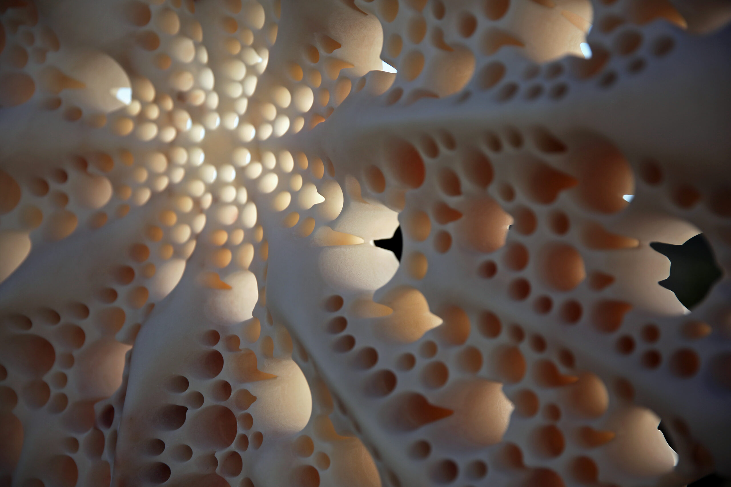 Star 1200 (detail), 2015, Marble, 64 x 64 x 20 cm © Matthias Contzen