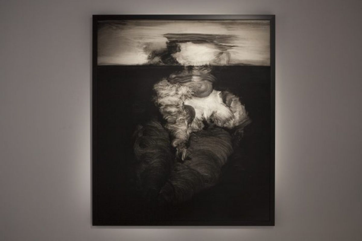 Vue d'exposition Johan Van Mullem, Loo & Lou Gallery Haut Marais