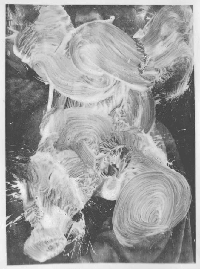 Agneau Mystique des frères Van Eyck - Cosmos 417-01, tirage argentine sur papier baryte matt, traité au sélénium pour la conservation. Exemplaire unique, 136 x 181 cm, 2015