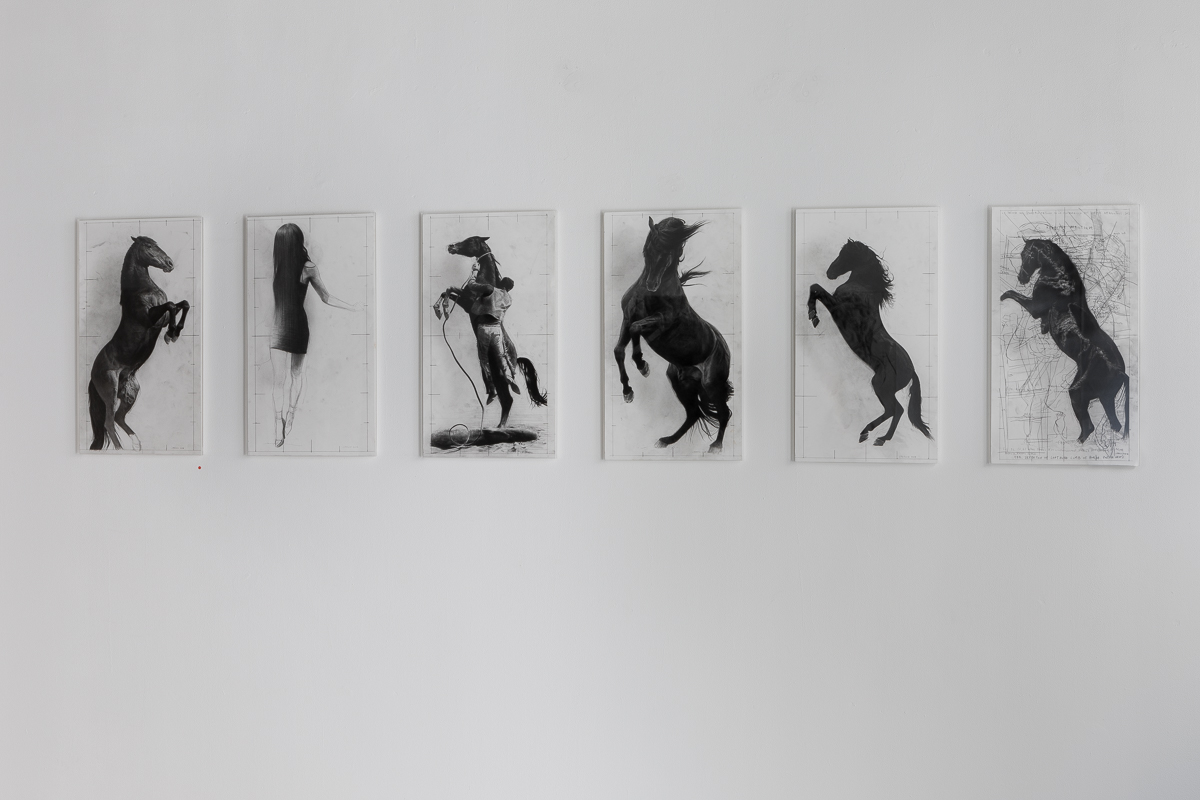 Vue d'exposition, Série Cheval Dragon, 2013, Pierre Noire Sur Papier, 62 x 34cm
