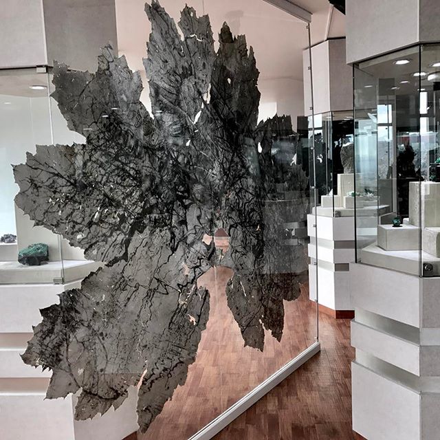 Vue de l’exposition Urpflänze, Museo Internacional De La Esmeralda, Bogota, Colombie