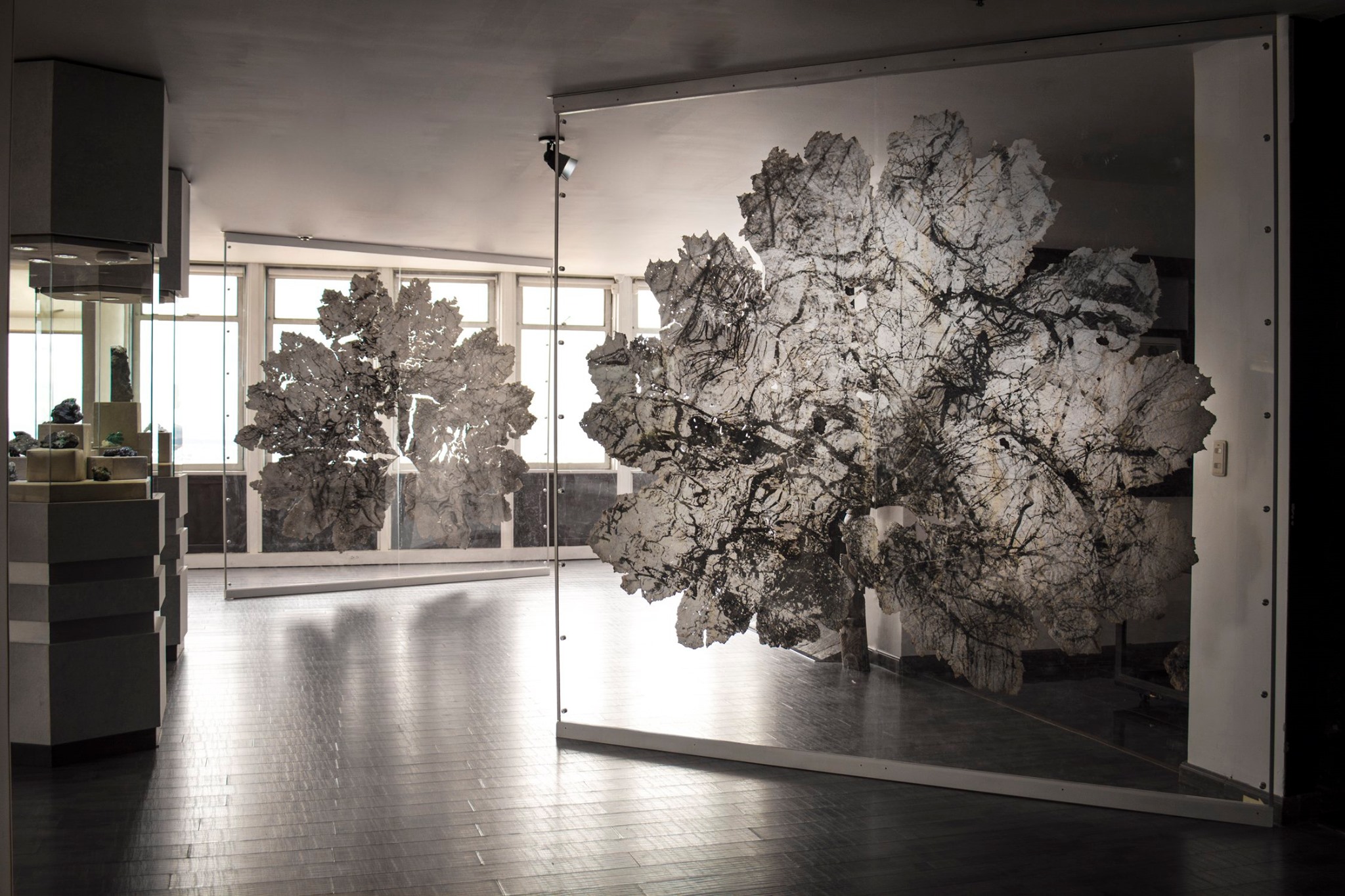 Vue de l’exposition Urpflänze, Museo Internacional De La Esmeralda, Bogota, Colombie / Image: Guillaume Krattinger