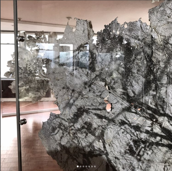 Vue de l’exposition Urpflänze, Museo Internacional De La Esmeralda, Bogota, Colombie