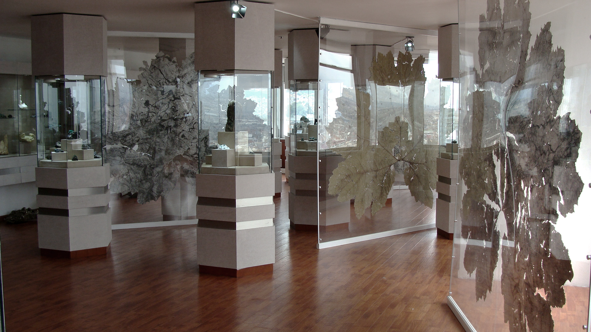 Vue de l’exposition Urpflänze, Museo Internacional De La Esmeralda, Bogota, Colombie