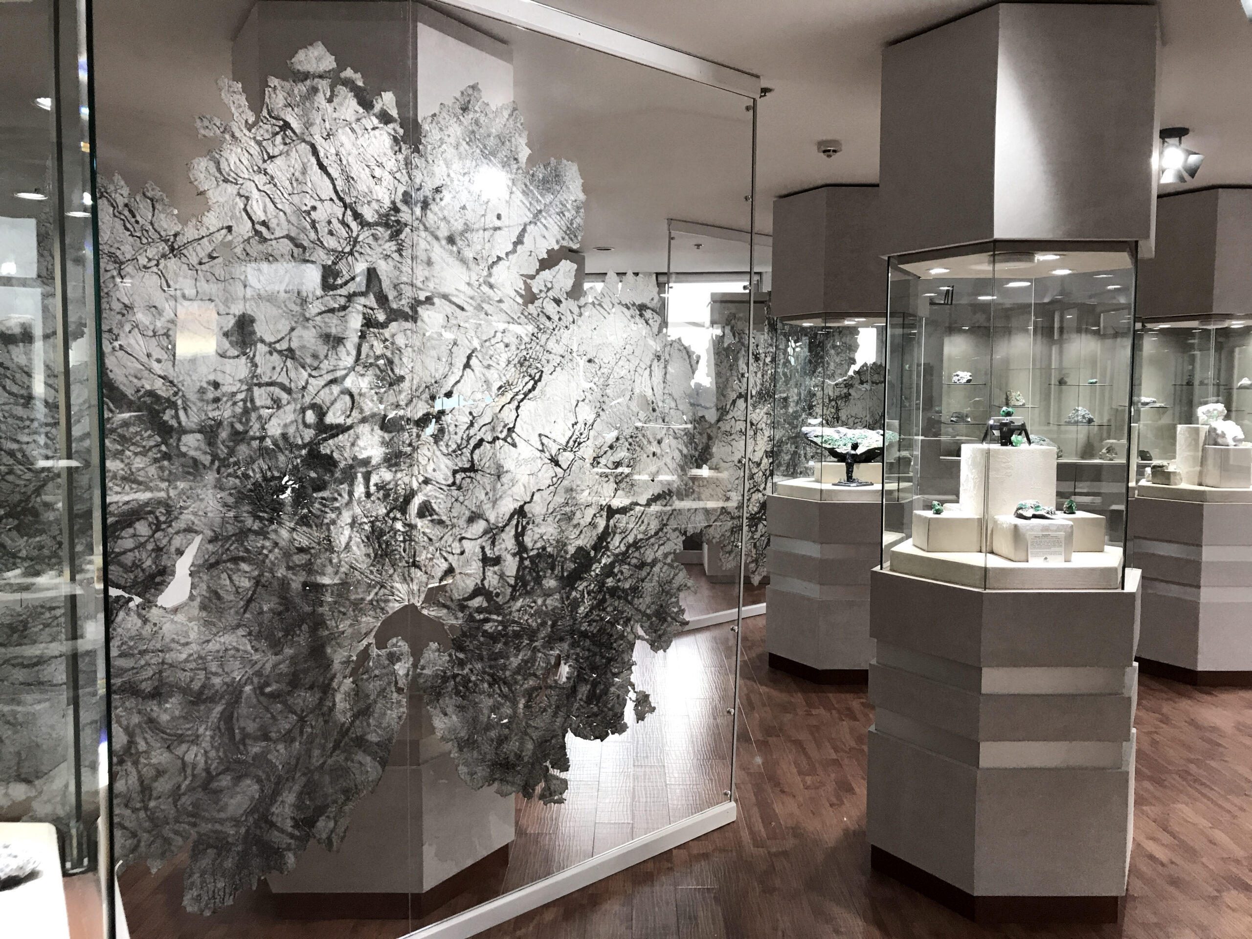 Vue de l’exposition Urpflänze, Museo Internacional De La Esmeralda, Bogota, Colombie