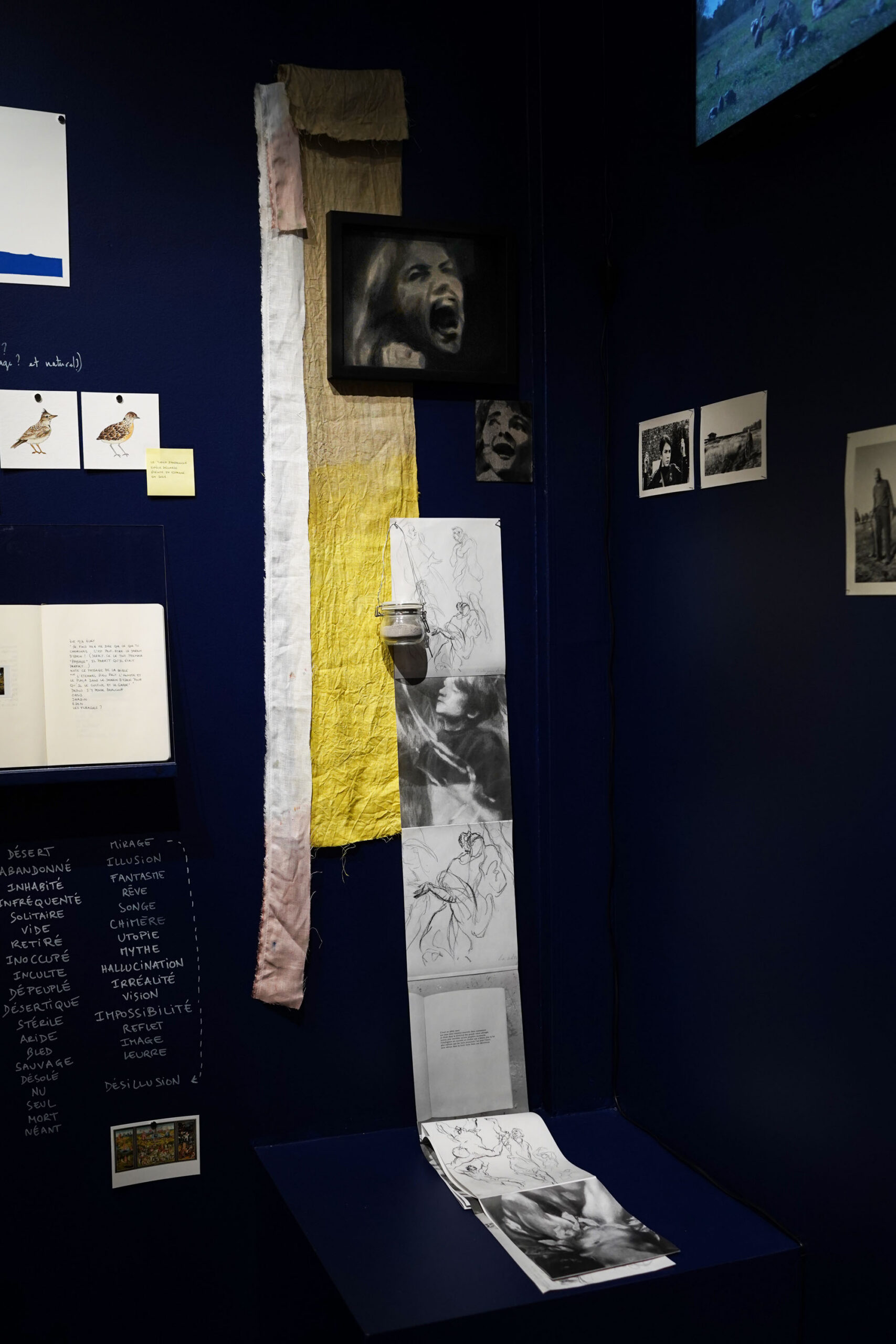 Eve Malherbe | Image © Alexandra Gilliams