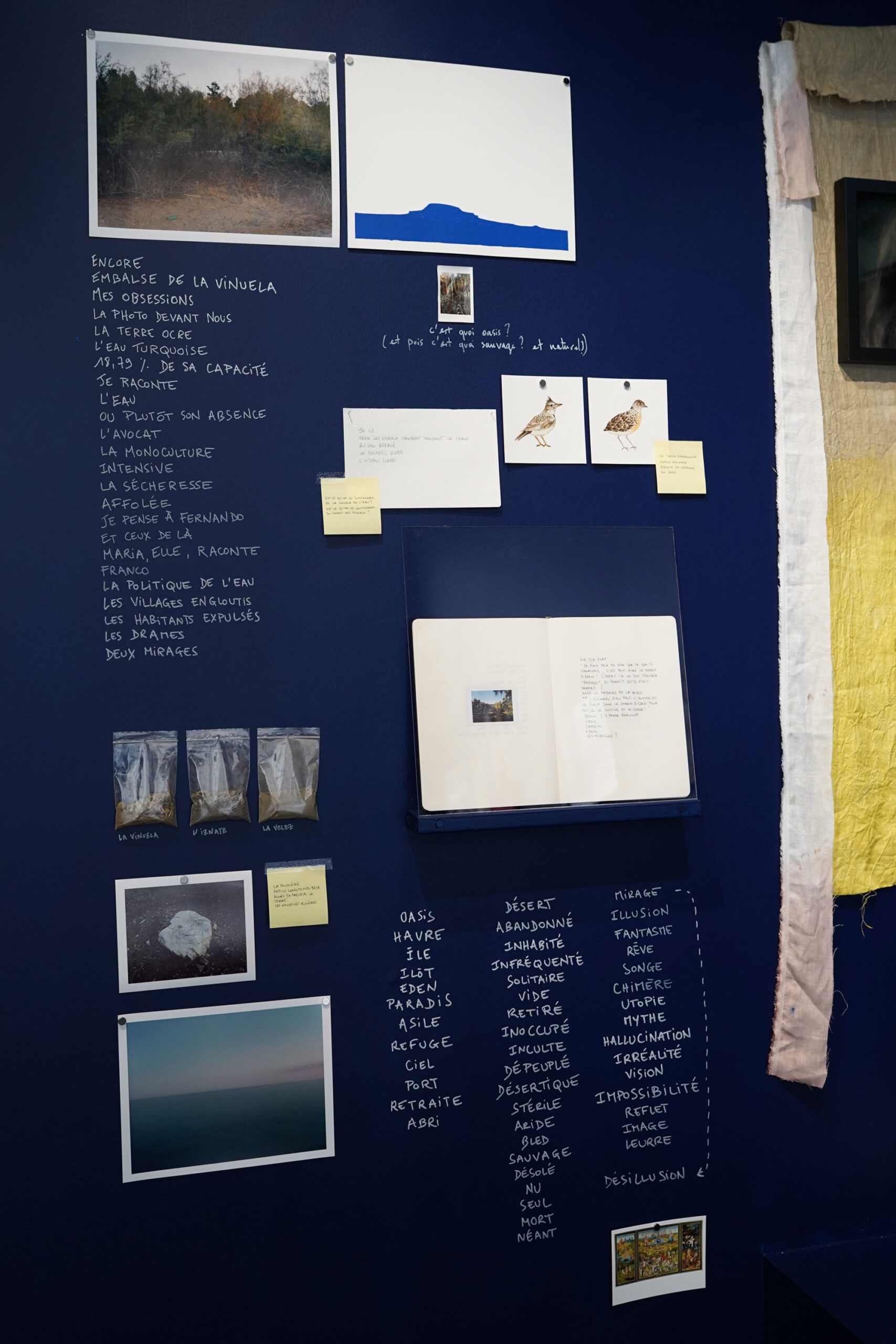 Lise Gaudier | Image © Alexandra Gilliams