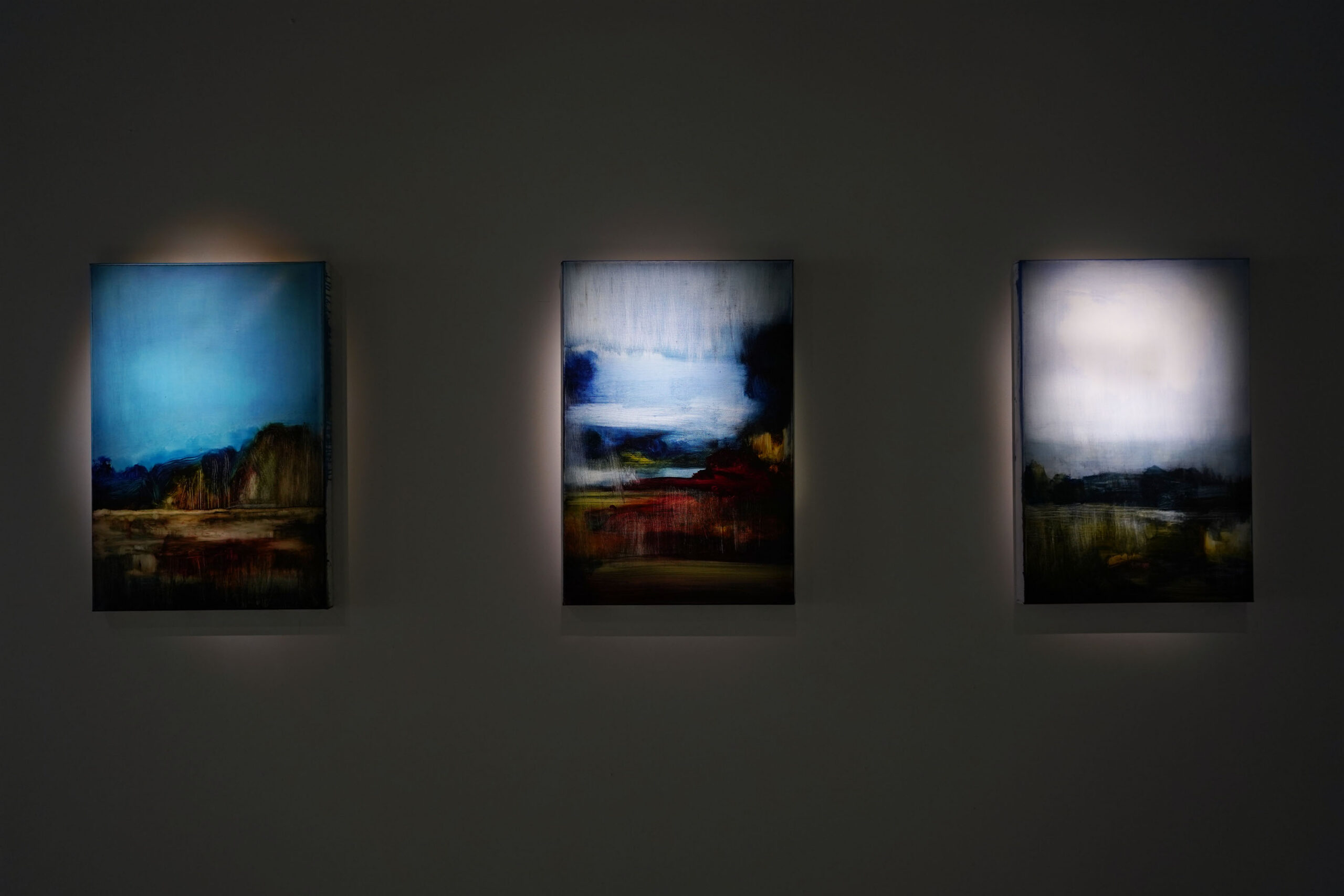 Vue de l'exposition | Image : Alexandra Gilliams