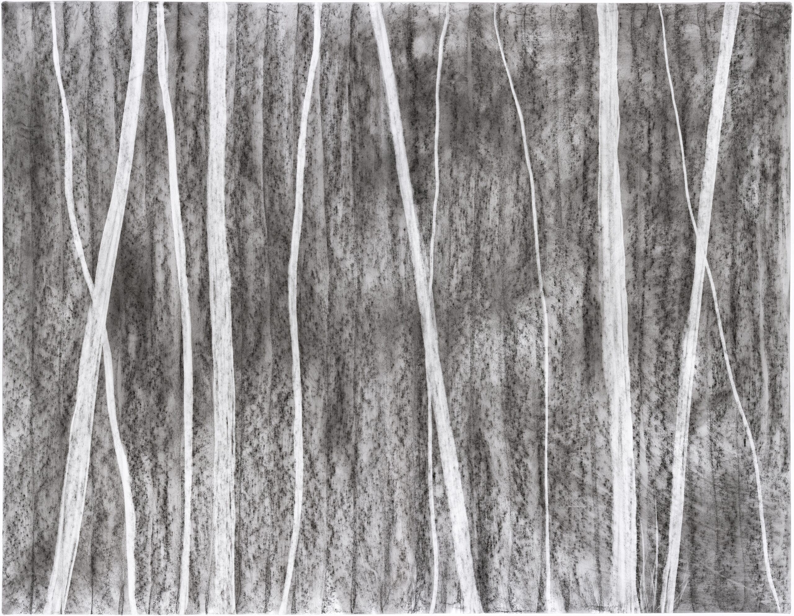N°631 Série Carbone, 2023, Technique mixte, Charbon de bois sur papier, 150 x 200 cm