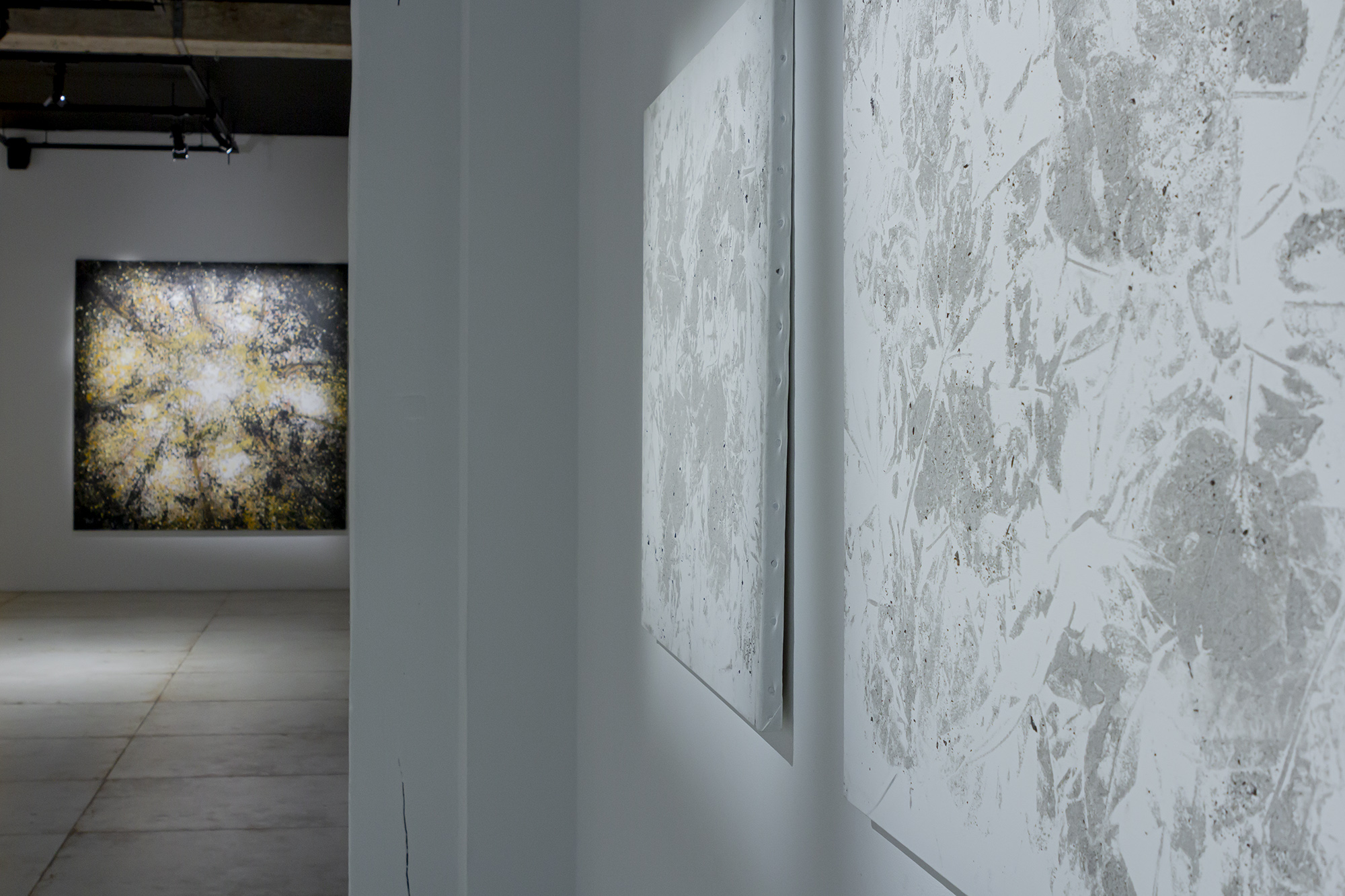 Vue de l'exposition, 2024 | © Aurea Calcavecchia