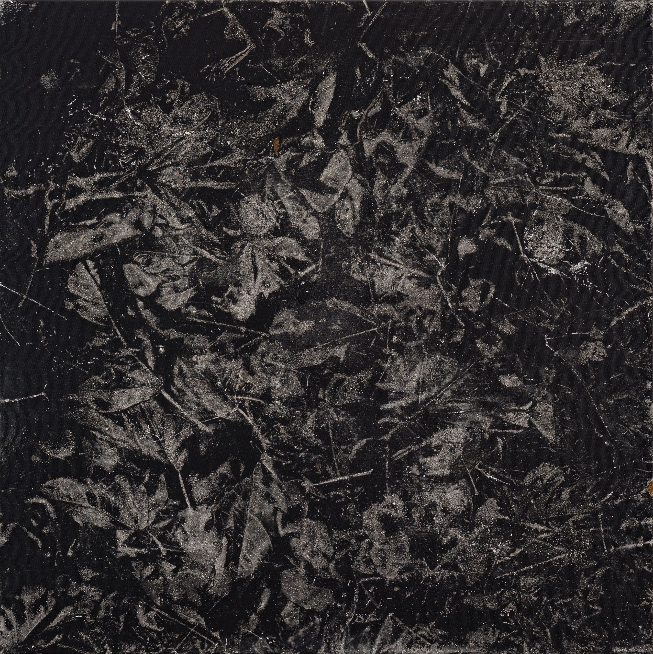 N°574 série Arborescences, 2022, Technique mixte, acrylique sur toile, cendres végétales, 80 x 80 cm