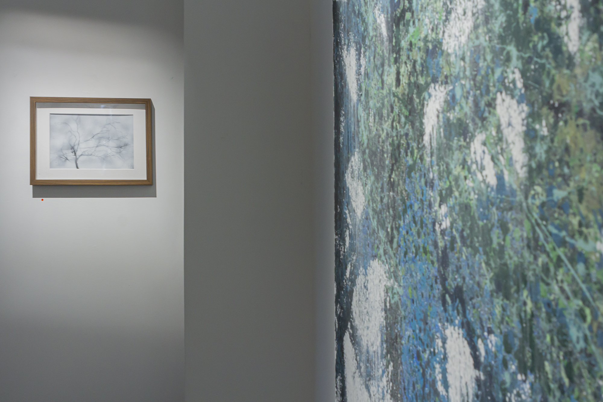 Vue de l'exposition, 2024 | © Aurea Calcavecchia