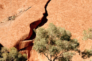 02.04.2022 | Carte blanche pour le photographe Jean-Christophe Ballot au Cercle Suédois en collaboration avec la Galerie Nathalie Béreau