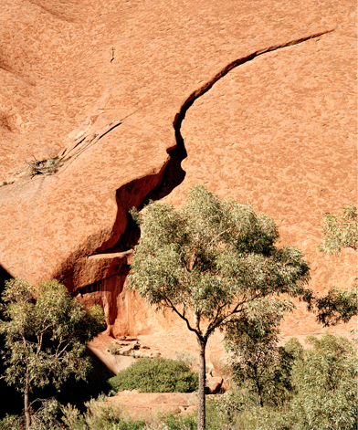 02.04.2022 | Carte blanche pour le photographe Jean-Christophe Ballot au Cercle Suédois en collaboration avec la Galerie Nathalie Béreau