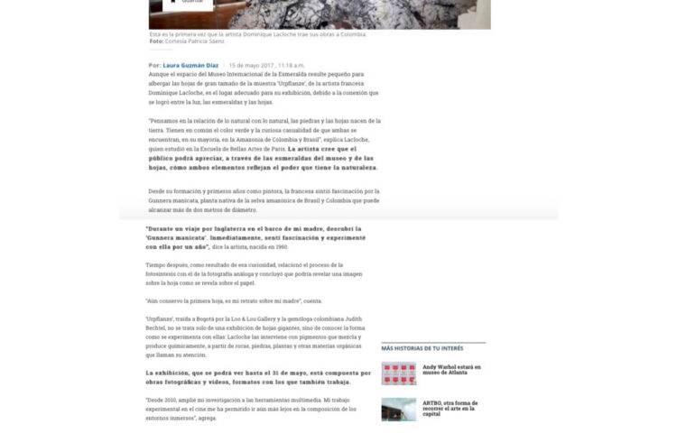 DOMINIQUE LACLOCHE, « Urpflanze », El Tiempo, Mai 2017