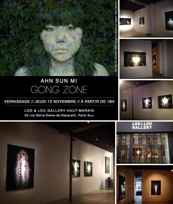 AHN SUN MI, « Gong Zone », Catherine Ahnell Gallery, December 2015