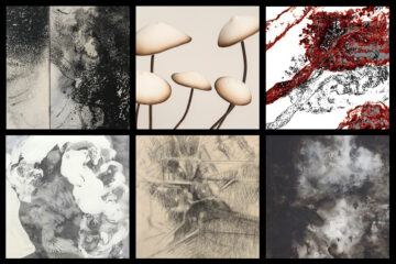 27.02.2021 | New online catalogue with a selection of works under 1000 €