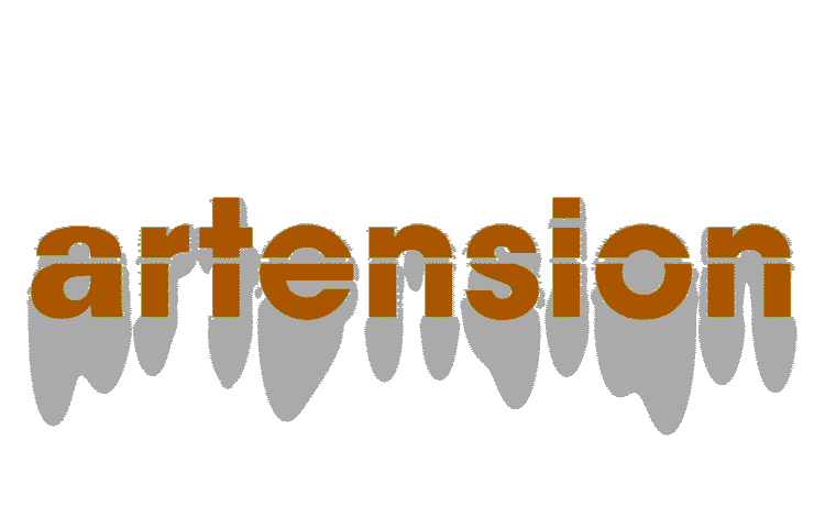 FRED KLEINBERG, FORCE INDIENNE, MAGAZINE ARTENSION SEPTEMBRE 2021