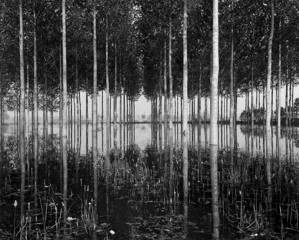 23.10.2020 - 17.01.2021 | Exhibition "Regards de Loire" by Jean-Christophe Ballot at the Château de Tours