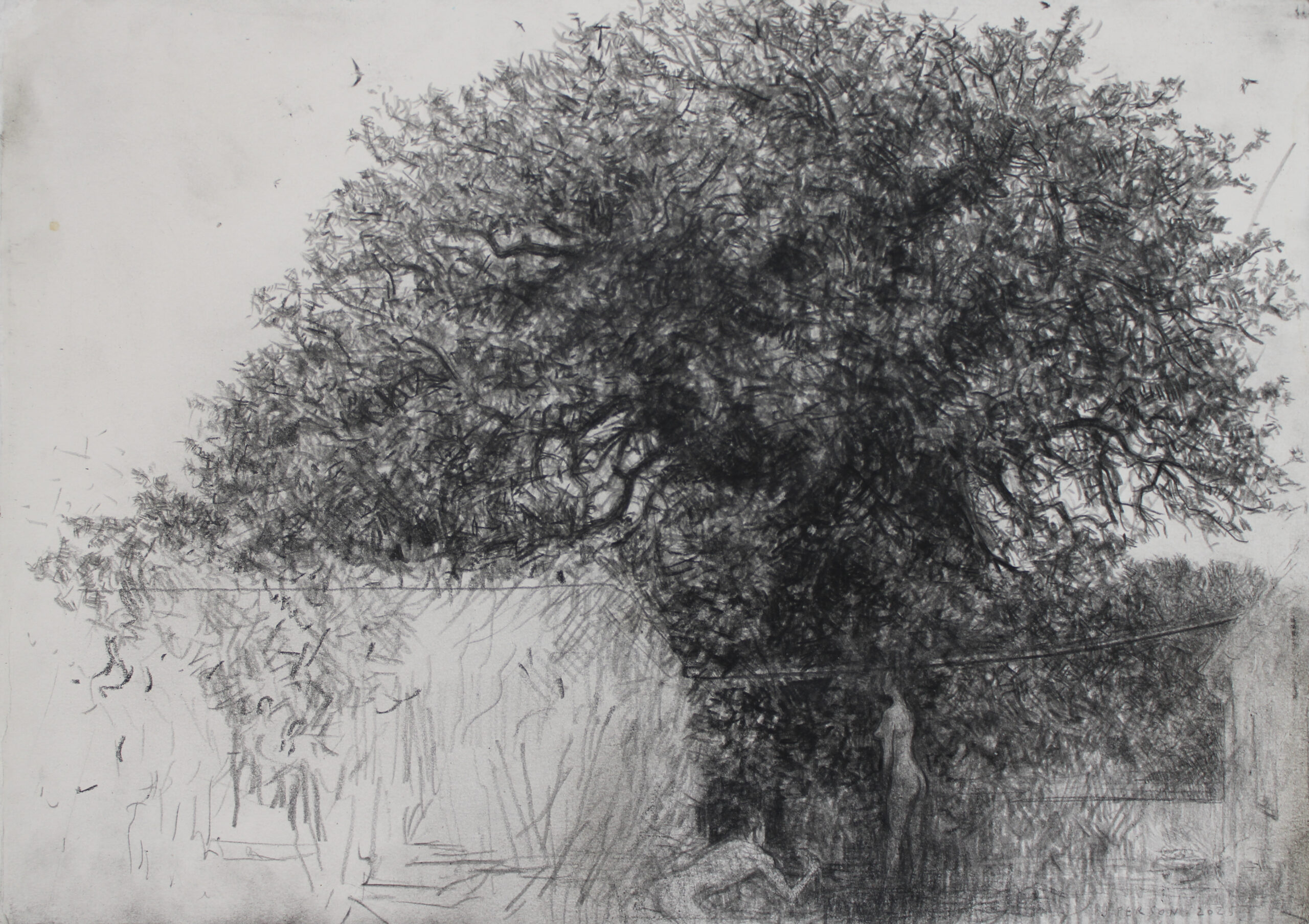 Adam et Eve-30x41,5cm-pierre noire sur papier-2025.jpg Adam et Eve-30x41,5cm-pierre noire sur papier-2025.jpg