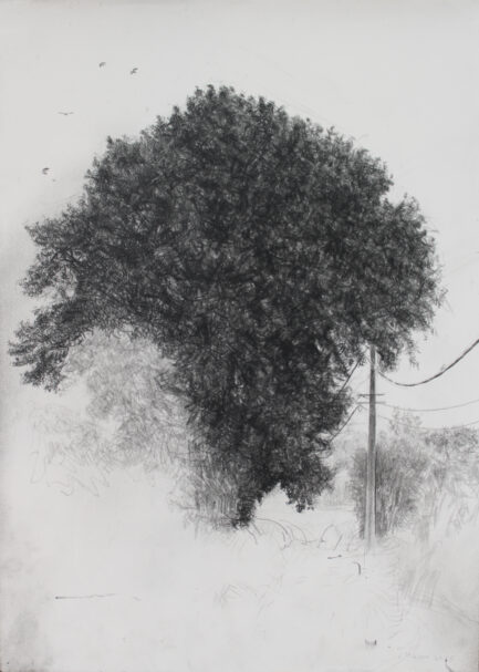 L'arbre de vie 1 -pierre noire sur papier-2025-42x30cm