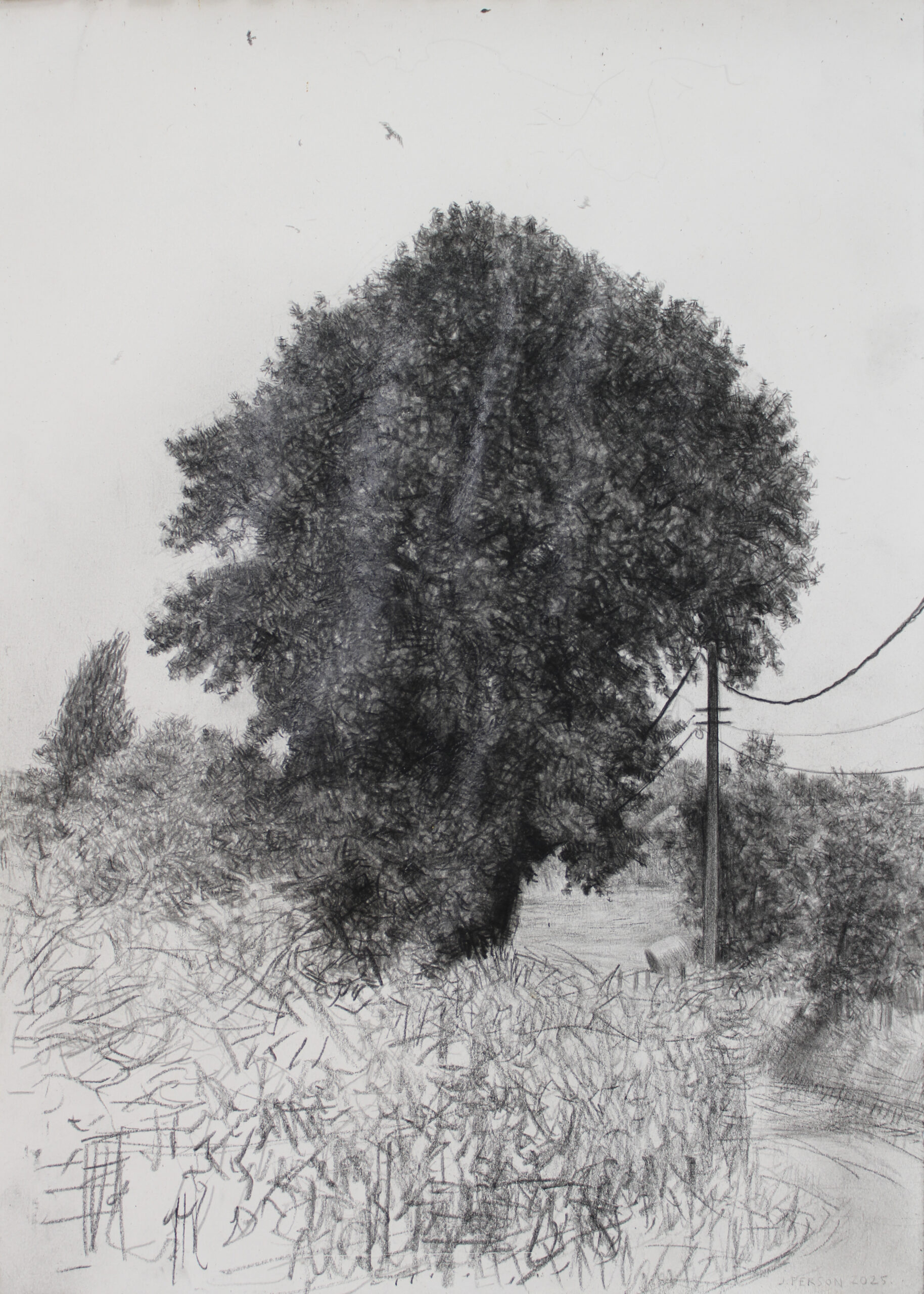 L'arbre de vie 2-42x30cm-pierre noire sur papier-2025.jpg L'arbre de vie 2-42x30cm-pierre noire sur papier-2025.jpg