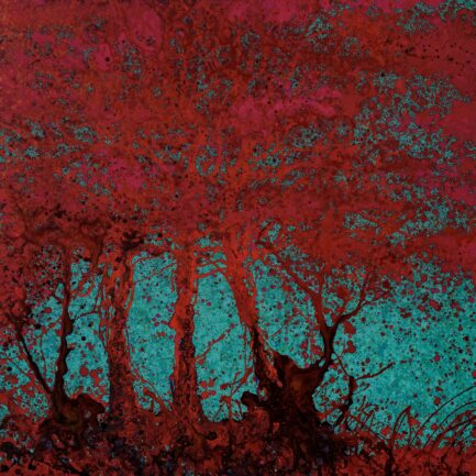 numero479(150x150)21