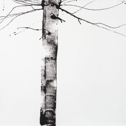 numero598(150x150)23