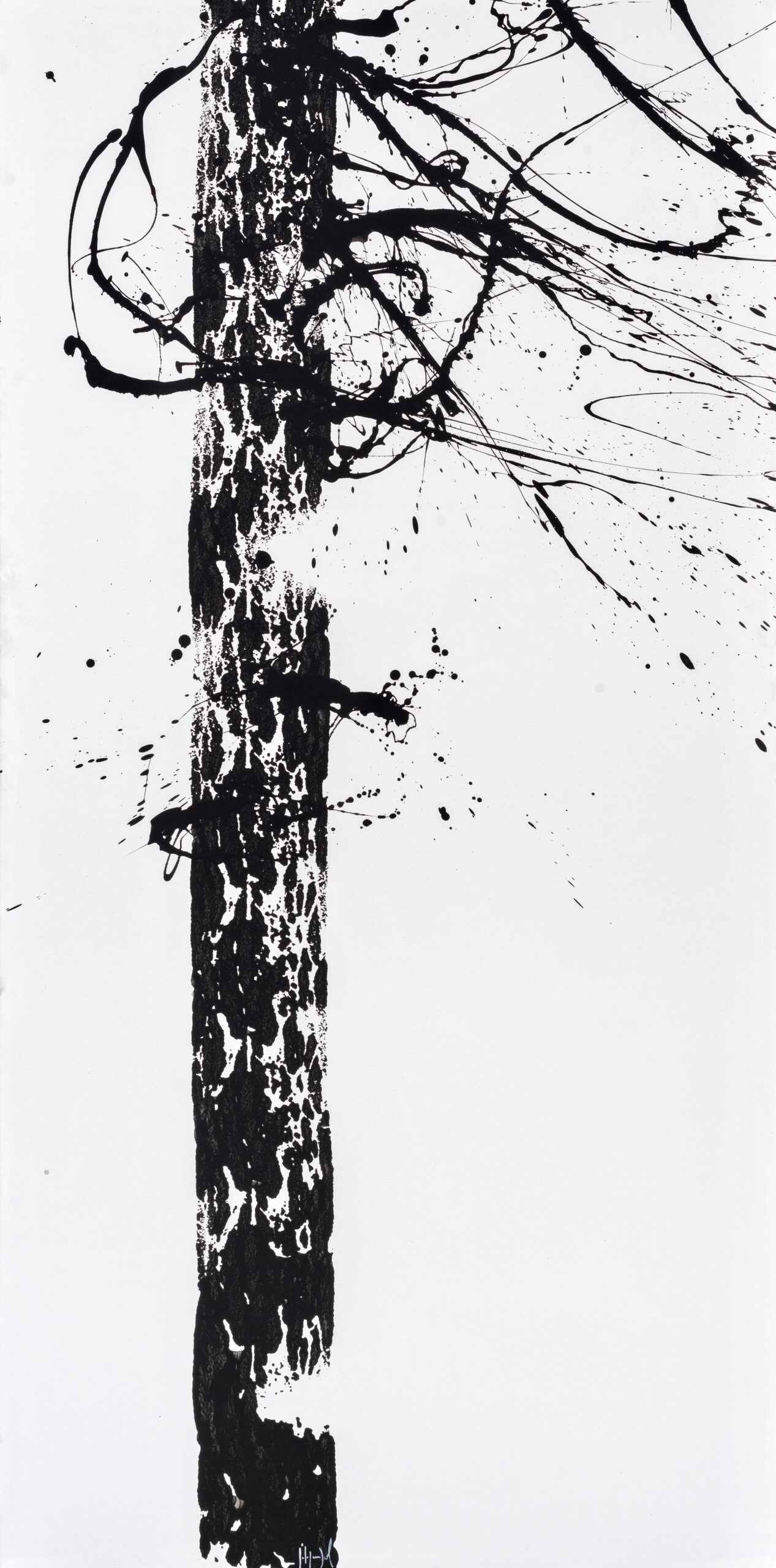 numero608(200x100)23 numero608(200x100)23